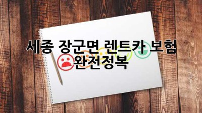 세종 장군면 렌트카 보험 완전정복 🚗🛡️