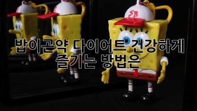 밥이곤약 다이어트, 건강하게 즐기는 방법은?